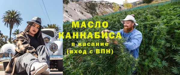 индика Приозерск