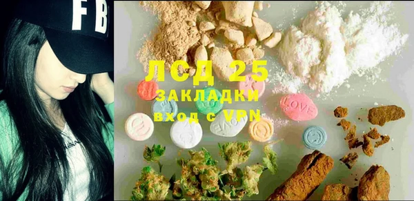 PSILOCYBIN Аркадак
