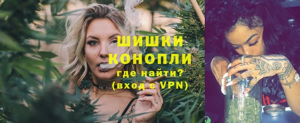 PSILOCYBIN Аркадак