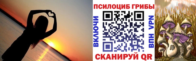 наркота  Узловая  Псилоцибиновые грибы Psilocybine cubensis 